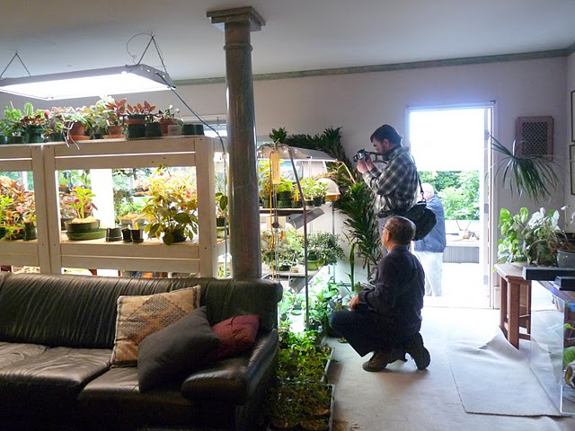 033-one of Bill'sPlantRoomsGS